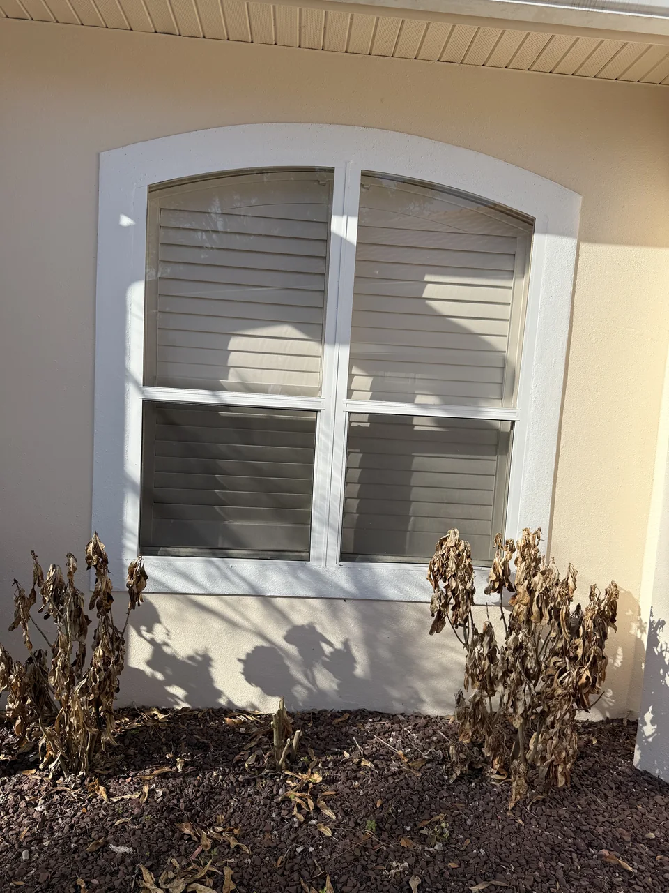 Original arched windows before replacement